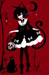 Rule 34 | 1girl, :d, absurdres, animal ears, artist name, birdcage, black cat, black dress, black hair, bow, bowtie, cage, cat, cat ears, cat tail, crescent, dress, earrings, full body, gothic lolita, hair between eyes, highres, holding, jewelry, lolita fashion, long sleeves, looking at viewer, open mouth, original, pantyhose, petticoat, red background, red eyes, sheya, short dress, short hair, signature, simple background, skull, smile, standing, tail