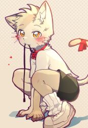 Rule 34 | 1boy, all fours, animal ear fluff, animal ears, blush, cat boy, cat ears, cat tail, child, commentary, english commentary, fang, furry, furry male, grey fur, heart, heart-shaped pupils, highres, holding, holding leash, leash, looking at viewer, male focus, mouth hold, original, popokachip, red ribbon, ribbon, shirt, short hair, shorts, solo, squatting, symbol-shaped pupils, tail, white shirt, yellow eyes