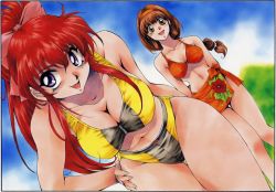 Rule 34 | 2girls, arms behind back, bent over, bikini, blue eyes, bow, breasts, brown eyes, brown hair, cleavage, downblouse, dutch angle, female focus, hair bow, hairband, hand on own hip, highres, inoue sora, large breasts, long hair, midriff, mitsurugi ryouko, multiple girls, navel, no eyewear, open mouth, pink bow, ponytail, purple eyes, real bout high school, red hair, ribbon, sarong, smile, swimsuit, tankini, thigh gap, thighs, yuuki hitomi