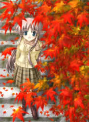 Rule 34 | autumn, autumn leaves, leaf, maple leaf, original, shion (kawasemi), solo, stairs