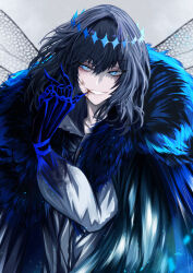 Rule 34 | 1boy, absurdres, antinese, arthropod boy, black hair, blue eyes, bug, butterfly wings, cape, centipede, cloak, crown, diamond hairband, dragonfly wings, fate/grand order, fate (series), fur-trimmed cape, fur-trimmed cloak, fur trim, highres, insect wings, long sleeves, male focus, medium hair, oberon (fate), oberon (third ascension) (fate), official alternate hair color, shirt, smile, solo, upper body, white shirt, wings