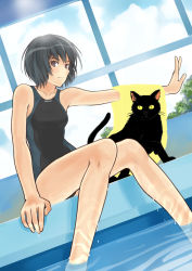 Rule 34 | 1girl, aihara kaichi, amagami, bad id, bad pixiv id, black eyes, black hair, black one-piece swimsuit, cat, caustics, cloud, competition swimsuit, day, dutch angle, indoors, knees together feet apart, legs, light smile, nanasaki ai, one-piece swimsuit, pool, poolside, puu (amagami), school uniform, short hair, sitting, smile, soaking feet, solo, swimsuit, towel, water, wet, window
