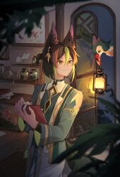 Rule 34 | 1boy, akademiya uniform, animal ear fluff, animal ears, bag, bird, black hair, blunt ends, blurry, blurry foreground, book, clipboard, closed mouth, commentary request, depth of field, door, earrings, erhuo, fox boy, fox ears, fox tail, genshin impact, gold trim, green eyes, green hair, green jacket, hair between eyes, hands up, highres, holding, holding clipboard, indoors, jacket, jar, jewelry, kerosene lamp, lantern, leaf, long sleeves, looking to the side, male focus, multicolored hair, mushroom, night, open clothes, open door, open jacket, pants, paper, picture frame, plant, ponytail, shelf, short hair, short ponytail, sidelocks, single earring, smile, solo, standing, streaked hair, tail, tighnari (genshin impact), vial, white pants, wide sleeves