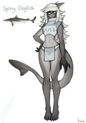 Rule 34 | 1girl, absurdres, barefoot, blue eyes, closed mouth, crop top, fewer digits, fish girl, full body, furry, furry female, hand on own hip, highres, looking at viewer, matilda fiship, monster girl, navel, original, pelvic curtain, shark fin, shark girl, signature, simple background, smile, solo, tail, white background