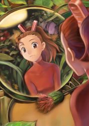 Rule 34 | 10s, 1girl, arrietty, brown eyes, brown hair, clothes pin, flower, karigurashi no arrietty, mini person, minigirl, mirror, ponytail, reflection, solo, thistle, yusao