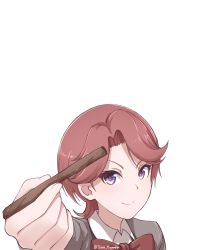 Rule 34 | 1girl, absurdres, artist name, bow, bowtie, brown hair, commentary, disco brando, highres, isurugi futaba, looking at viewer, portrait, purple eyes, red bow, red bowtie, short hair, shoujo kageki revue starlight, simple background, smile, solo, twitter username, v-shaped eyebrows, white background, wing collar