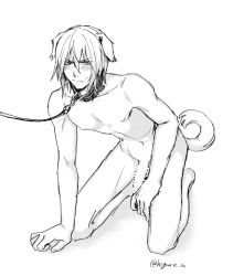 Rule 34 | 1boy, animal ears, blush, collar, dash10, eizen (tales), erection, leash, male focus, monochrome, nude, penis, solo, tail, tales of (series), tales of berseria