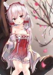 Rule 34 | 1girl, animal ears, azur lane, bare shoulders, blurry, blurry background, blurry foreground, blush, breasts, collarbone, commentary request, depth of field, dress, frilled dress, frills, hair between eyes, hairband, head tilt, highres, in tree, laffey (azur lane), long hair, off shoulder, parted lips, petals, rabbit ears, red dress, red eyes, red hairband, silver hair, sitting, sitting in tree, small breasts, solo, strapless, strapless dress, tree, tsukiman, very long hair