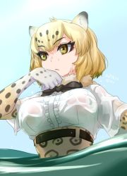 Rule 34 | 10s, 1girl, ajino (sakanahen), animal ears, black bow, black bowtie, blue sky, bow, bowtie, breasts, dated, day, fur collar, half-closed eyes, jaguar (kemono friends), jaguar ears, jaguar print, kemono friends, large breasts, looking to the side, outdoors, partially submerged, see-through, short hair, short sleeves, sky, solo, solo focus, upper body, wet, wet clothes, yellow eyes