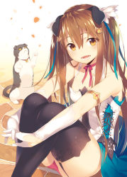 Rule 34 | 1girl, :d, animal, animal ears, armlet, bad id, bad pixiv id, black thighhighs, blue ribbon, brown hair, cat, cat hair ornament, choker, collarbone, cross-laced clothes, dress, garter straps, gloves, hair between eyes, hair ornament, hair ribbon, head tilt, interlocked fingers, katou itsuwa, lace trim, long hair, looking at viewer, on ground, open mouth, orange eyes, original, own hands together, panties, pantyshot, pavement, petals, red panties, red ribbon, ribbon, ribbon choker, shade, sitting, sleeveless, smile, solo, thighhighs, two side up, underwear, white gloves