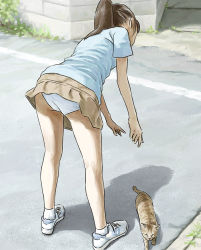 Rule 34 | 1girl, ankle socks, bent over, blue shirt, brown hair, brown skirt, cat, clothes lift, female focus, from behind, legs, long hair, miniskirt, nature, original, outdoors, panties, pantyshot, plant, ponytail, shirt, shoes, short sleeves, skirt, skirt lift, sneakers, socks, solo, standing, tnt (aaaazzzz), underwear, upskirt, white footwear, white panties, white socks