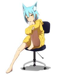 Rule 34 | 1girl, :t, absurdres, animal ear fluff, animal ears, bad id, bad pixiv id, barefoot, blue hair, chair, closed mouth, convenient leg, feet on chair, full body, hair between eyes, head on knee, highres, hood, hood down, hoodie, idaten93, knee up, leg up, long sleeves, looking at viewer, no pants, office chair, on chair, original, shadow, simple background, sitting, sleeves past wrists, solo, swivel chair, white background, wide sleeves, yellow eyes, yellow hoodie
