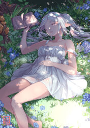 Rule 34 | 1girl, bare legs, barefoot, blue flower, book, closed eyes, dress, flower, foot out of frame, frieren, hand on own stomach, highres, holding, holding book, legs, long hair, nekomimipunks, on grass, open book, parted lips, pointy ears, roots, sleeping, solo, sousou no frieren, strap slip, thighs, white dress, white hair