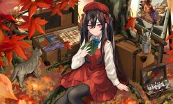 Rule 34 | 1girl, animal, autumn leaves, beret, black hair, book, bow, bowtie, cat, collared shirt, dress, hair bow, hat, highres, holding, leaf, long hair, long sleeves, looking at viewer, luggage, maple leaf, original, painting (object), pink eyes, red dress, red hat, shirt, sidelocks, sleeveless, sleeveless dress, smile, solo, takehana note, two side up, very long hair, white shirt