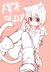 Rule 34 | 1girl, animal ears, cat ears, cat tail, detached sleeves, dodome-iro mayonnaise, glasses, original, panties, sharon (dodomayo), short hair, sketch, solo, tail, thighhighs, underwear