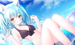 Rule 34 | 1girl, animal ear fluff, animal ears, bad id, bad pixiv id, ball, bare arms, bare shoulders, beachball, bikini, black bikini, blue hair, blush, breasts, brown eyes, cat ears, cat girl, cat tail, closed mouth, collarbone, dutch angle, feet out of frame, front-tie bikini top, front-tie top, hair between eyes, hands up, horizon, knees up, murano, navel, ocean, original, shallow water, sitting, small breasts, smile, solo, swimsuit, tail, twintails, water, wet