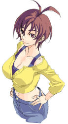 Rule 34 | 00s, 1girl, amaha masane, blouse, brown eyes, brown hair, hands on own hips, midriff, real-as-special, satou atsuki, shirt, short hair, simple background, smile, solo, white background, witchblade, yellow shirt