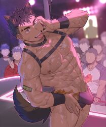 Rule 34 | 6+boys, abs, animal ears, banknote, bara, black male underwear, blush, bulge, chest harness, dark-skinned male, dark skin, dog boy, dog ears, dog tail, eyebrow cut, finger in own mouth, gondom, harness, highres, large pectorals, leaning to the side, male focus, male underwear, male underwear pull, money, multiple boys, muscular, muscular male, navel, nightclub, nipples, original, pectorals, pole, pulling own clothes, second-party source, seductive smile, short hair, slime (substance), smile, solo focus, stage lights, stripper, stripper pole, tail, thick thighs, thighs, tongue, tongue out, tucked money, underwear, wet, yaoi