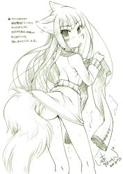 Rule 34 | 00s, 1girl, animal ears, ass, blush, green theme, holo, ikuta takanon, monochrome, sketch, solo, spice and wolf, sweat, tail, takanon, translation request, wet, wolf ears, wolf tail