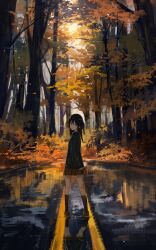 Rule 34 | 1girl, absurdres, autumn, autumn leaves, axleaki, black hair, black socks, black sweater, brown footwear, brown skirt, closed mouth, commentary request, forest, from behind, hair between eyes, highres, long hair, long sleeves, looking at viewer, looking back, nature, original, outdoors, puffy sleeves, reflection, road, scenery, skirt, socks, solo, standing, sweater, tree, wet ground, wide shot, yellow eyes