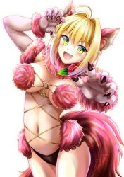 Rule 34 | 1girl, ahoge, animal ears, blonde hair, blush, braid, breasts, claw pose, cosplay, elbow gloves, fate/extra, fate/grand order, fate (series), french braid, fur-trimmed gloves, fur collar, fur trim, gloves, green eyes, gu-rahamu omega x, hair bun, hair intakes, halloween costume, highres, large breasts, long hair, looking at viewer, mash kyrielight, mash kyrielight (dangerous beast), mash kyrielight (dangerous beast) (cosplay), navel, nero claudius (fate), nero claudius (fate) (all), nero claudius (fate/extra), o-ring, official alternate costume, open mouth, revealing clothes, simple background, single hair bun, smile, tail, white background, wolf ears, wolf tail