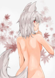Rule 34 | 1girl, ahoge, akasabi, animal ears, arm at side, back, backboob, breasts, finger to mouth, from behind, hand up, highres, inubashiri momiji, leaf, looking at viewer, looking back, maple leaf, medium breasts, medium hair, nude, red eyes, shoulder blades, sideways glance, silver hair, solo, standing, tail, touhou, upper body, wolf ears, wolf tail