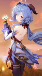 Rule 34 | 1girl, absurdres, ahoge, back, backless outfit, bare shoulders, black legwear, blue gloves, blue hair, blush, bow, chinese knot, detached sleeves, flower, flower knot, from behind, ganyu (genshin impact), genshin impact, gloves, gold trim, highres, holding, holding flower, horns, light smile, long hair, looking at viewer, looking back, low ponytail, purple eyes, qingxin flower, red rope, rope, sidelocks, solo, somray, standing, tassel, thighlet, very long hair, vision (genshin impact), waist cape, white flower, white sleeves