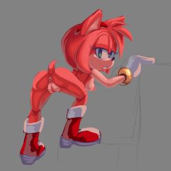 Rule 34 | 1girl, amy rose, anus, bent over, breasts, female focus, furry, furry female, highres, no humans, nude, panties, pussy, solo, sonic (series), termiteterror, underwear