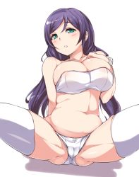 Rule 34 | 10s, 1girl, aqua eyes, bad id, bad pixiv id, bare shoulders, belly, bow, bow panties, bra, breasts, cameltoe, cleavage, lace, lace-trimmed panties, lace trim, large breasts, long hair, looking at viewer, love live!, love live! school idol project, moisture (chichi), navel, panties, parted lips, plump, purple hair, simple background, solo, thick thighs, thighs, tojo nozomi, underwear, underwear only, white background, white bra, white panties