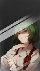 Rule 34 | 1girl, closed umbrella, commentary, fourth wall, glass, green eyes, green hair, highres, imoko (imonatsuki), kazami yuuka, looking at viewer, matching hair/eyes, open clothes, open vest, red eyes, reflection, shaded face, shirt, solo, touhou, umbrella, upper body, vest