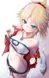 Rule 34 | 1girl, absurdres, animal, bare shoulders, belt, blonde hair, blue shorts, braid, breasts, cat, closed mouth, collarbone, cutoffs, fate/apocrypha, fate (series), frown, green eyes, groin, hair ornament, hair scrunchie, highres, jacket, jewelry, long hair, looking at viewer, micro shorts, mordred (fate), mordred (fate/apocrypha), mordred (memories at trifas) (fate), mozu (peth), navel, necklace, no panties, ponytail, red jacket, red scrunchie, scrunchie, shorts, small breasts, solo, standing, stomach, strapless, sweat, tube top