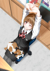 Rule 34 | 1girl, arms up, black skirt, black vest, brown eyes, brown hair, calico, cat, chair, closed mouth, collared shirt, highres, keyboard (computer), long sleeves, office chair, office lady, on chair, one eye closed, original, polka dot, polka dot ribbon, ribbon, shirt, sitting, skirt, solo, soragane (banisinngurei), stretching, swivel chair, table, vest, white shirt