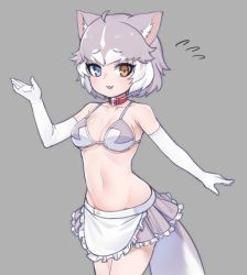 Rule 34 | 1girl, :d, adapted costume, animal ears, apron, bare shoulders, bikini, bikini top only, blue eyes, breasts, collar, collarbone, cowboy shot, dog (mixed breed) (kemono friends), dog ears, dog tail, elbow gloves, fang, flying sweatdrops, frilled apron, frilled skirt, frills, gloves, grey background, grey hair, grey skirt, heterochromia, kemono friends, looking at viewer, medium breasts, multicolored hair, navel, nyifu, open mouth, short hair, simple background, skirt, smile, solo, stomach, swimsuit, tail, two-tone hair, waist apron, white gloves, white hair, yellow eyes