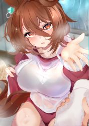 Rule 34 | 1girl, absurdres, agnes tachyon (umamusume), akiba monaka, animal ears, blush, breasts, brown eyes, brown hair, buruma, gym uniform, hair between eyes, highres, horse ears, horse girl, jacket, large breasts, long sleeves, looking at viewer, open clothes, open jacket, open mouth, pov, pov hands, see-through, towel, track jacket, umamusume, wet, wet clothes