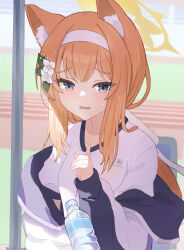 Rule 34 | 1girl, absurdres, animal ear fluff, animal ears, black jacket, blue archive, blue eyes, bottle, commentary, flower, furrowed brow, gym uniform, hair flower, hair ornament, hair ribbon, hairband, highres, jacket, long hair, long sleeves, low ponytail, mari (blue archive), mari (track) (blue archive), multicolored clothes, multicolored jacket, off shoulder, open clothes, open jacket, open mouth, orange hair, ribbon, shirt, solo, suis (suis022511), track jacket, two-tone jacket, water bottle, white flower, white hairband, white jacket, white ribbon, white shirt