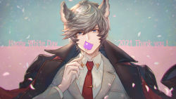 Rule 34 | 1boy, animal ears, blue eyes, brown coat, candy, cat ears, coat, erune, falling petals, food, granblue fantasy, grey jacket, holding, holding candy, holding food, jacket, looking at viewer, male focus, necktie, nehan (granblue fantasy), numahidoi, petals, red scarf, scarf, shirt, short hair, silver hair, solo, upper body, white day, white shirt