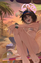 Rule 34 | 1girl, absurdres, animal ear fluff, animal ears, ass, ball, bare legs, bare shoulders, barefoot, beach, beach chair, beach umbrella, beachball, bikini, blue archive, blue bikini, breasts, brown hair, cloud, commentary, cooler, crab, evening, fang, feet, flower, fox ears, fox girl, fox tail, hair flower, hair ornament, highres, izuna (blue archive), izuna (swimsuit) (blue archive), kawa683, legs, legs together, looking at viewer, open mouth, outdoors, own hands together, palm tree, red scarf, sand, scarf, scrunchie, short hair, sitting, skin fang, small breasts, smile, solo, striped bikini, striped clothes, sunset, swimsuit, tail, thighs, toes, tree, umbrella, visor cap, wrist scrunchie, yellow eyes