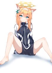 Rule 34 | 1girl, absurdres, animal ear fluff, animal ears, barefoot, blue archive, blue eyes, blue jacket, blue shorts, blush, closed mouth, commentary, flower, fox ears, fox girl, gym shorts, gym uniform, hair flower, hair ornament, hairband, halo, highres, jacket, kabocya na, knees up, long sleeves, looking at viewer, mari (blue archive), mari (track) (blue archive), official alternate costume, orange hair, short shorts, shorts, sidelocks, sitting, smile, solo, split mouth, spread legs, track jacket, white hairband, yellow halo