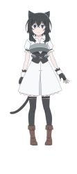 Rule 34 | 1girl, animal ears, armor, armored dress, black hair, blue eyes, blush, boots, breastplate, cat ears, cat tail, character name, female focus, fingerless gloves, fran (tensei shitara ken deshita), full body, gloves, highres, jewelry, looking at viewer, non-web source, official art, ring, simple background, smile, solo, tail, tensei shitara ken deshita, transparent background