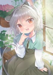 Rule 34 | 1girl, absurdres, animal ears, ashino chimado, bench, blue capelet, blush, brown eyes, capelet, commentary request, dress, feet out of frame, flat chest, flower, grey dress, grey hair, highres, long sleeves, looking at viewer, medium hair, mouse ears, mouse girl, mouse tail, nazrin, open mouth, pink flower, plant, potted plant, shirt, sitting, smile, solo, tail, touhou, vines, white shirt, window