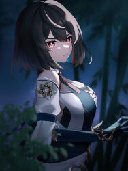 Rule 34 | 1girl, absurdres, black hair, breasts, chinese clothes, chinese commentary, closed mouth, detached sleeves, hair between eyes, highres, honkai: star rail, honkai (series), large breasts, long sleeves, medium hair, night, outdoors, red eyes, solo, tree, upper body, ura (hamburg oniku), v-shaped eyebrows, xueyi (honkai: star rail)