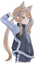 Rule 34 | 1girl, absurdres, animal ear fluff, animal ears, anparu, arms behind back, arms up, black jacket, black shorts, blonde hair, blue archive, commentary request, cowboy shot, flower, grey eyes, gym shorts, hair flower, hair ornament, headband, highres, jacket, long hair, long sleeves, low ponytail, mari (blue archive), mari (track) (blue archive), ponytail, short shorts, shorts, sidelocks, simple background, solo, standing, track jacket, very long hair, white background, white flower, white headband