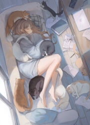 Rule 34 | 1girl, absurdres, bare legs, barefoot, black cat, book, brown cat, brown hair, cat, cellphone, closed eyes, commentary, computer, couch, covered mouth, cushion, desk, full body, grey hoodie, highres, hood, hood down, hoodie, indoors, laptop, long hair, lying, notebook, on couch, on side, original, paper stack, pen, phone, sleeping, smartphone, solo, sumi 0525, white cat, window, wooden floor