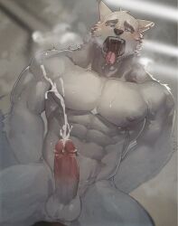 Rule 34 | 1boy, abs, ahegao, animal ears, arms behind back, bara, completely nude, cowboy shot, cum, dutch angle, ejaculation, erection, furry, furry male, handsfree ejaculation, highres, huge pectorals, male focus, muscular, muscular male, neumo, nipples, nude, original, penis, projectile cum, saliva, short hair, solo, sweat, tail, tail wagging, thick eyebrows, tongue, tongue out, uncensored, very sweaty, white fur, wolf boy, wolf ears, wolf tail