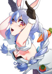 Rule 34 | 1girl, :d, ajula wachula, animal ear fluff, animal ears, bent over, black gloves, black leotard, black pantyhose, blue hair, braid, breasts, carrot hair ornament, clothing cutout, coat, coat dress, cutout above navel, detached sleeves, dress, food-themed hair ornament, fur-trimmed coat, fur-trimmed gloves, fur trim, gloves, hair ornament, highres, hikimayu, hololive, leotard, long hair, looking at viewer, multicolored hair, open mouth, orange eyes, pantyhose, puffy short sleeves, puffy sleeves, rabbit-shaped pupils, rabbit ears, rabbit girl, rabbit pose, rabbit tail, short eyebrows, short sleeves, sideways glance, simple background, small breasts, smile, solo, strapless, strapless coat, strapless dress, strapless leotard, swept bangs, symbol-shaped pupils, tail, tail through clothes, twin braids, twintails, two-tone hair, upper body, usada pekora, usada pekora (1st costume), virtual youtuber, white background, white coat, white hair, white sleeves