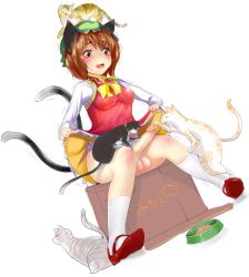 Rule 34 | 1girl, animal ears, bad id, box, brown hair, cat, cat ears, cat tail, chen, clothes lift, covered erect nipples, dutch angle, earrings, full-package futanari, futanari, jewelry, keikouon, mary janes, multiple tails, newhalf, penis, shoes, short hair, simple background, skirt, skirt lift, solo, tail, testicles, third-party edit, touhou, trembling, uncensored, yellow eyes
