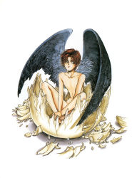 Rule 34 | 1boy, angel cage, angel wings, artbook, brown eyes, brown hair, cain c. hargreaves, cain hargreaves, collarbone, earl cain, egg, eggshell, godchild, grey eyes, hakushaku cain series, hatching, male focus, nude, official art, scan, short hair, simple background, sitting, solo, white background, wings, yuki kaori