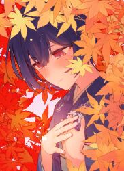 Rule 34 | 1girl, autumn leaves, black hair, blue kimono, blue sash, blush, closed mouth, flat chest, floral print, hair between eyes, hands on own chest, hands up, highres, idolmaster, idolmaster shiny colors, japanese clothes, kimono, kyoshincats, leaf, long sleeves, looking down, maple leaf, morino rinze, obi, obijime, own hands together, print kimono, red eyes, sash, short hair, smile, solo, upper body, wide sleeves