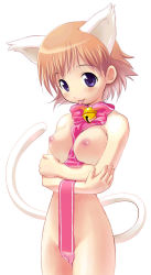 Rule 34 | 1girl, :p, animal ears, bell, between breasts, blue eyes, breasts, cat ears, cat tail, highres, huge breasts, jpeg artifacts, naked ribbon, nipples, nude, orange hair, purple eyes, ribbon, short hair, solo, tail, tongue, tongue out
