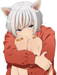 Rule 34 | 1girl, 3:, animal ears, bare legs, blue eyes, cat ears, cat girl, closed mouth, commentary request, feet out of frame, hand on own arm, hugging own legs, knees up, long sleeves, looking at viewer, mattaku mousuke, original, red sweater, short hair, silver hair, simple background, sitting, solo, sweater, twitter username, white background